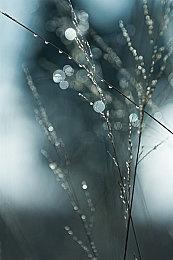 《莱莎的炼金工房1、2》全球销量突破160万 今晚举行中文感谢直播活动